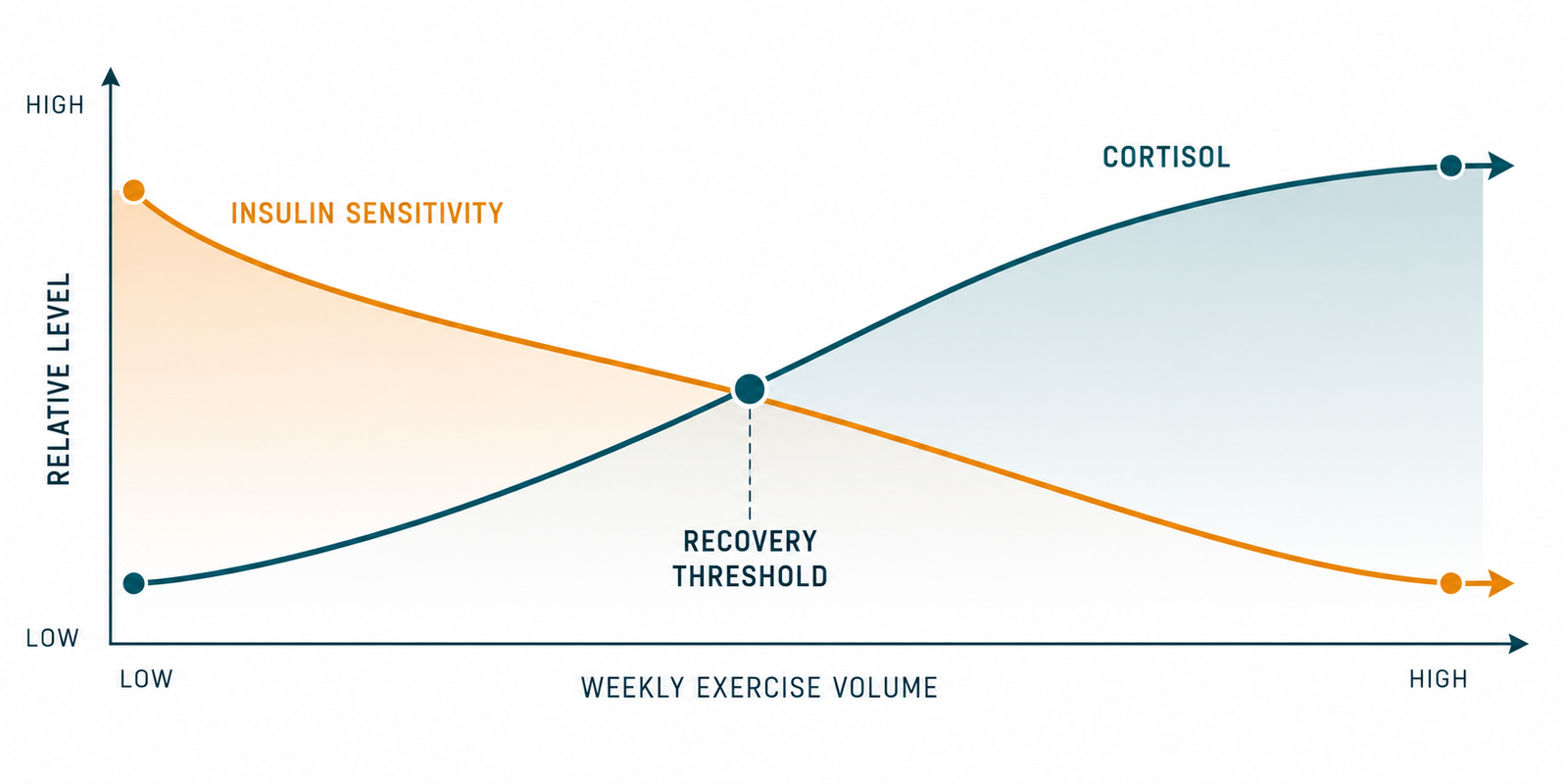 chronic cardio stress — cortisol rising and insulin sensitivity declining beyond the recovery threshold with excessive exercise volume